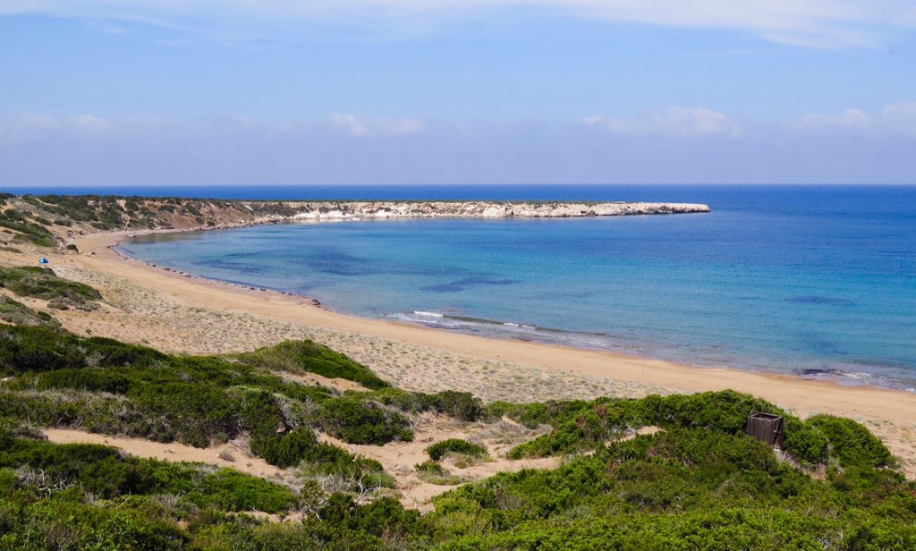 jana_robinson's tweet photo. Morning cycle to this perfect spot for a swim #larabeach #akamas #cyprus #cyprusliving #cyprussun #cyprusismyhomenow @mycyprusinsider https://t.co/jQGUp5nt0b