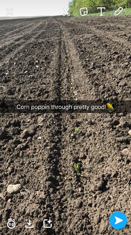 ShowMeAg tweet media