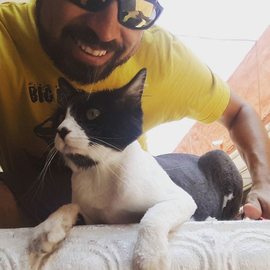 iork10's tweet photo. GATITO RAPADO!!! 🐈
#iork # iork10 #gato #pelon #sinpelo #instacat #catsofinstagram #cats #cat #meow🐱 #iork10 #jordino … https://t.co/Im4NS7ebtJ