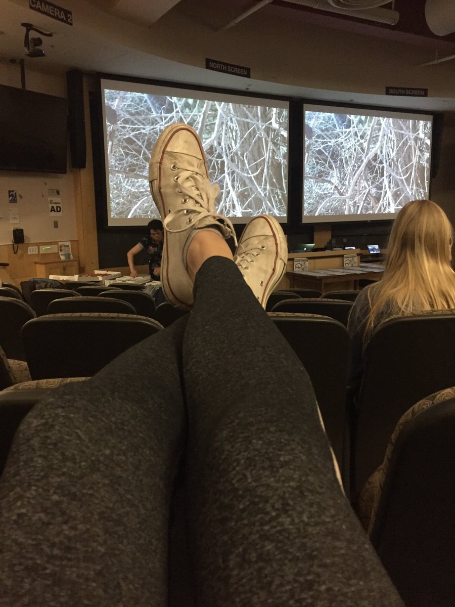 jutu65071's tweet photo. #cmci1020images #cmci1020showcase https://t.co/rjHedRrRIJ