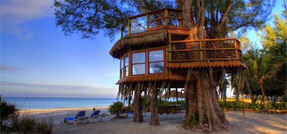 JODYHiGHROLLER's tweet photo. ONE DAY iM GUNNA RUN AWAY WiTH A GiRL AND A BUNCH OF HUSKiES AND BUiLD A TREEHOUSE ON THE BEACH AND LiVE HAPPiLY EVER AFTER https://t.co/lw6gPqzMUo