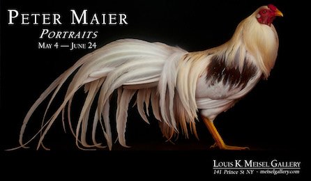 NYArtBeat's tweet image. Peter Maier “Portraits” @MeiselGallery with large-scale Photorealist paintings till June 24th. nyartbeat.com/event/2017/FD46 #spon