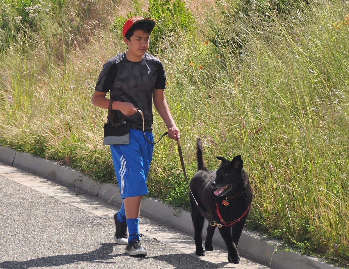 livingunchained's tweet photo. A few days left to help us reach our goal in the #HumanRace. Make a difference for #youth and #dogs at https://t.co/yoLaRSMfFe. #SantaCruz https://t.co/NBCKwjQBdn