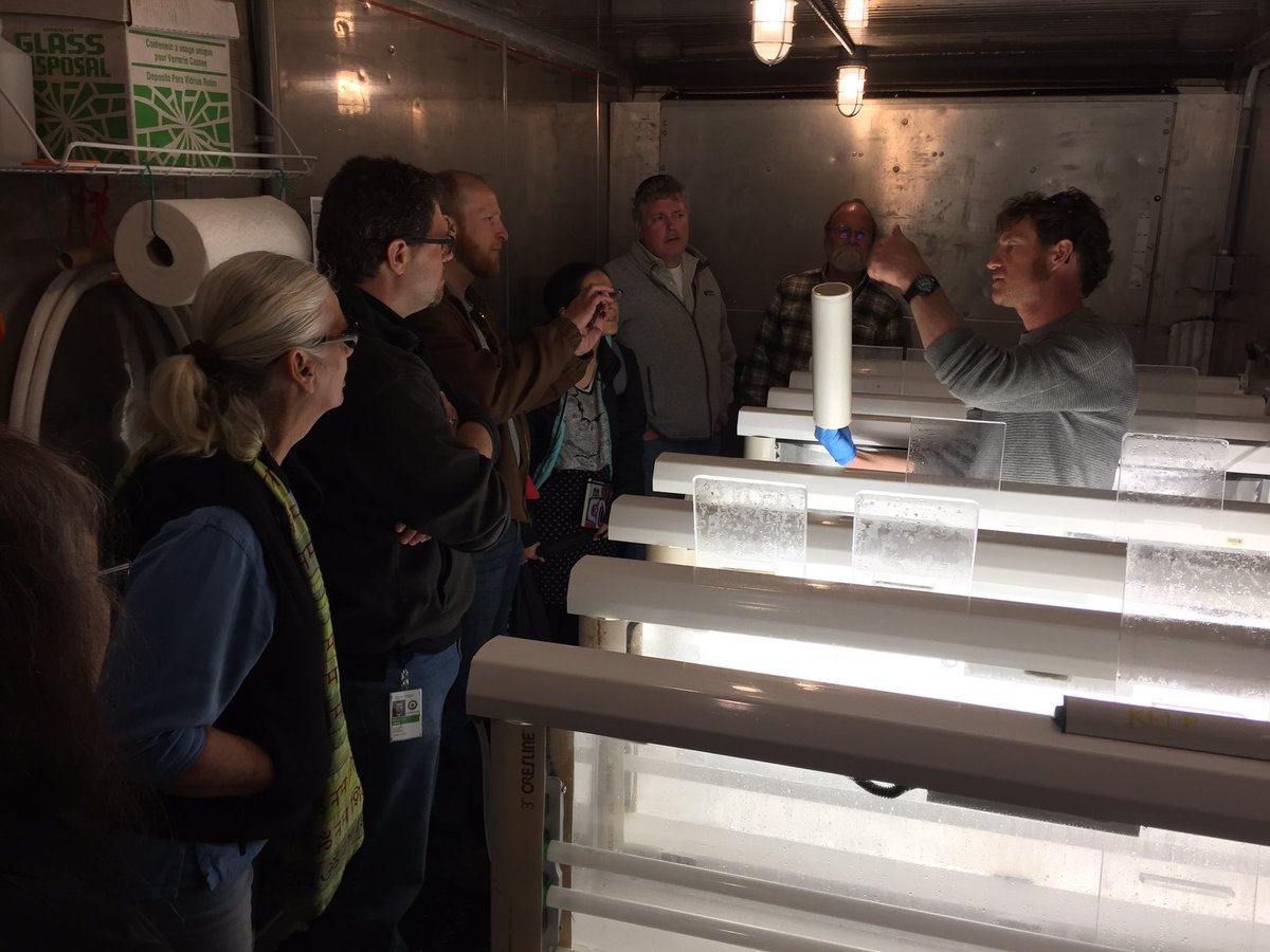 hartnws's tweet photo. @NWStraits @NWSFoundation getting tour of #kelp propagation facility at Manchester with PSRFs Brian Allen #helpthekelp https://t.co/1DtbIxz32r