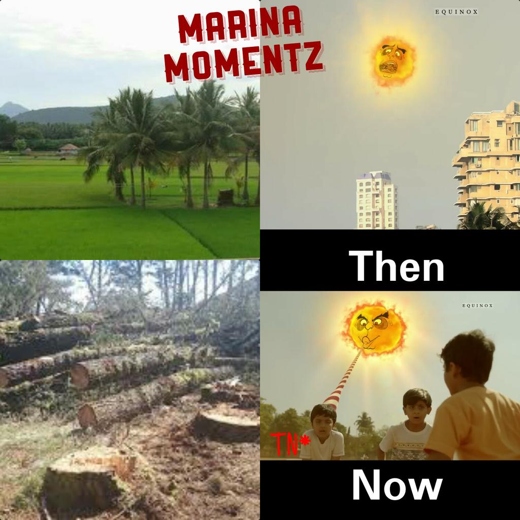bisha29786's tweet photo. #Save_Nature π²π³π΄
#SaveOurLand #LoveNature #DontCutTrees #SaveTN #PlantTrees #SaveNature
#MarinaMomentz
#BishaEditz
#Bisha_Editz
#BishaMemes https://t.co/17l9xkqQBw
