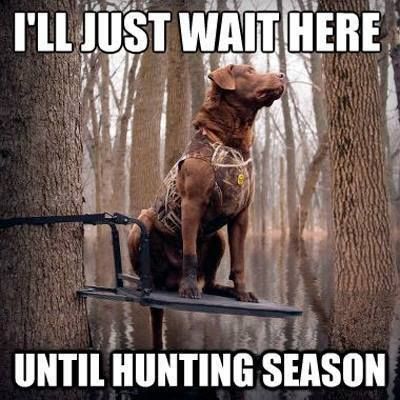 hunter_ed's tweet photo. Is it October yet? https://t.co/SrsvP2oX51