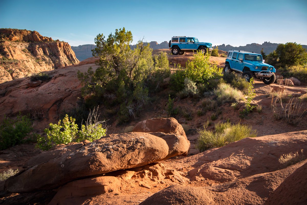 This week has been rough so far, but Falcon shocks has made is a little easier to handle.