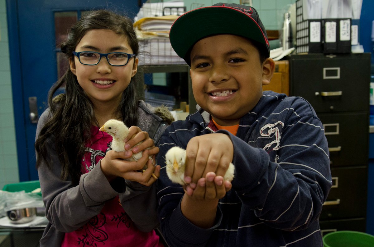 FarmtoSchool's tweet photo. #Farmtoschool is a grassroots movement, powered by people like you! Join our network &amp; get involved: https://t.co/uaukHe4Ag0 https://t.co/3HYu4V61dk