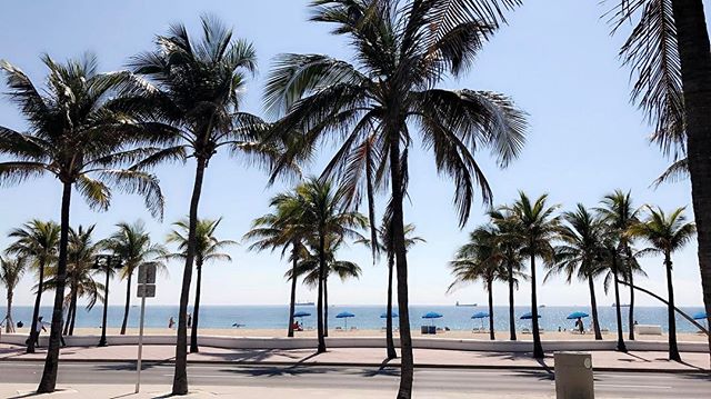 We Love our city. 📷: <a href="/ggor3/">🤙🏼🤙🏼🤙🏼</a>