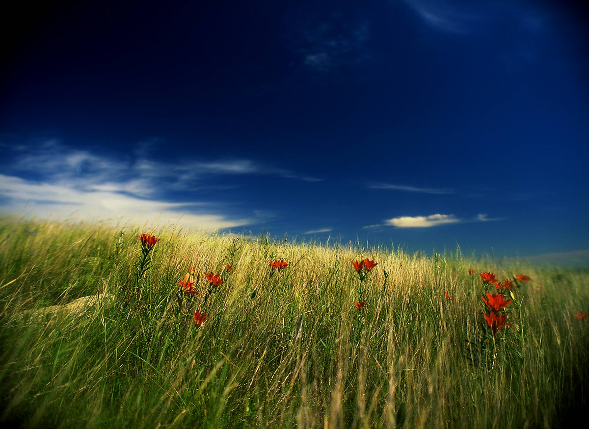 USFWSClimate tweet picture