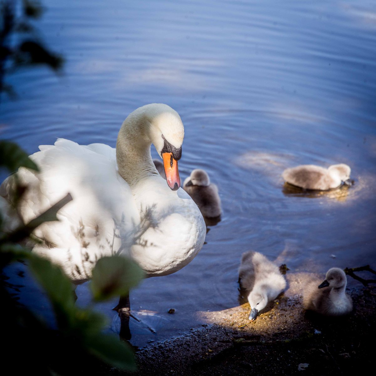 LydiaBoothPhoto tweet media