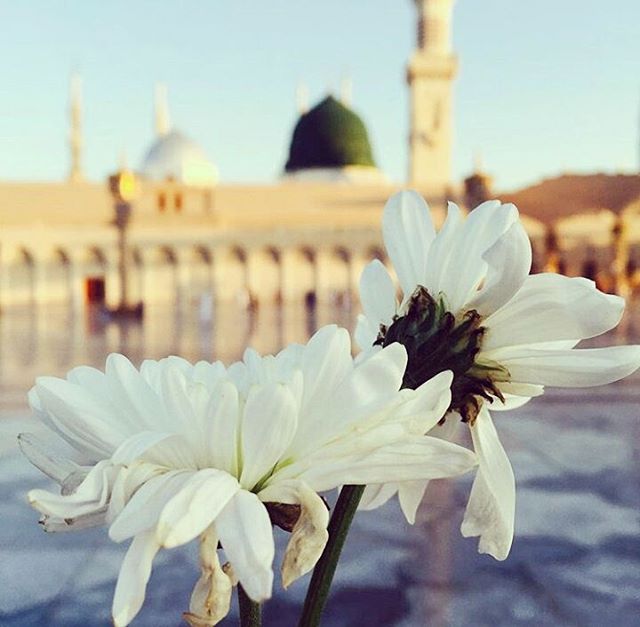 Farah KhaLid ~• tweet media