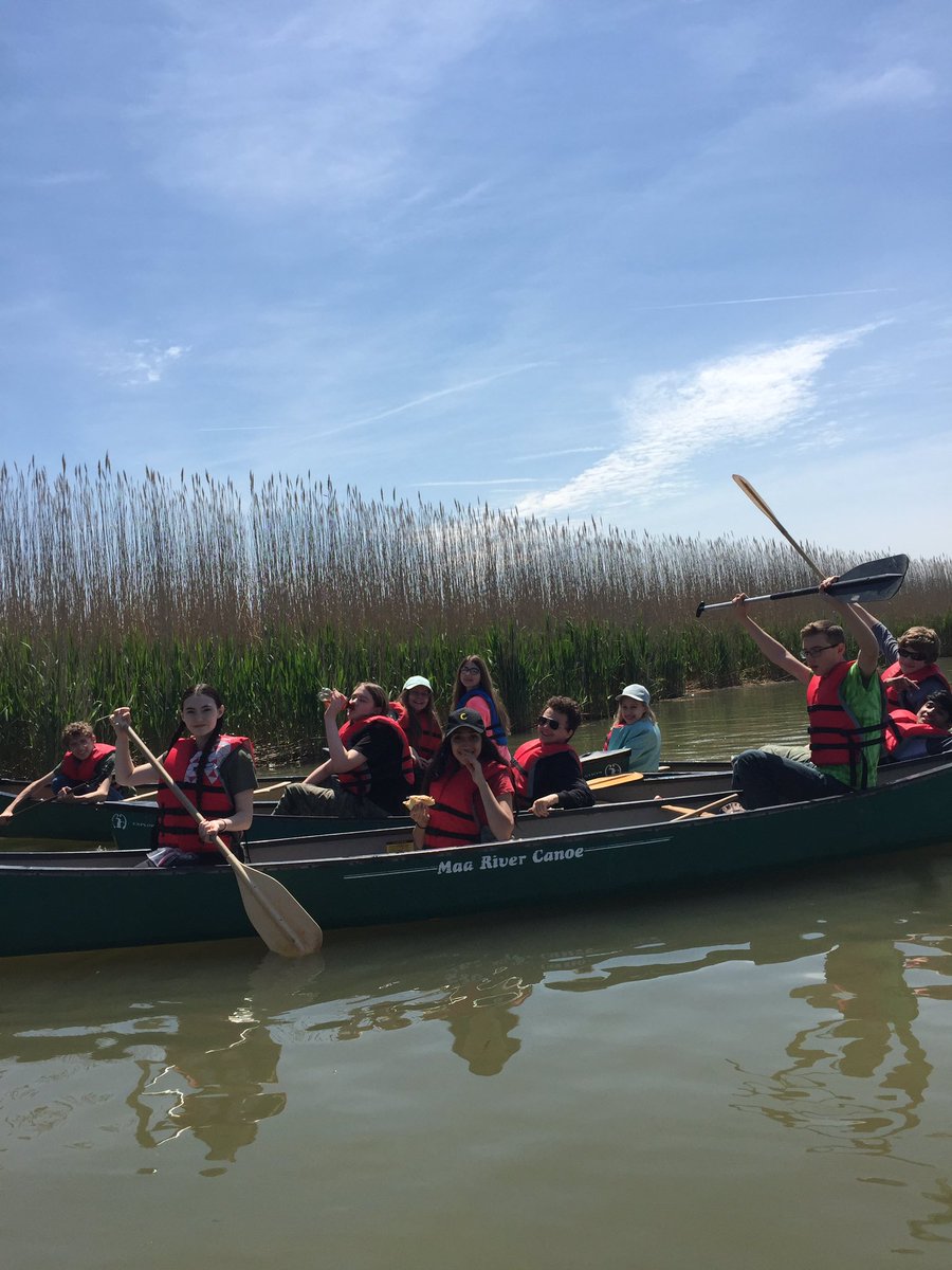 budinger03's tweet photo. Finally a calm day at Days Cove. Had a blast investigating ecosystems with Pine Grove MS. Can you spot the eagle's nest? @BCPSOutdoorSci https://t.co/1Le1HwTajR