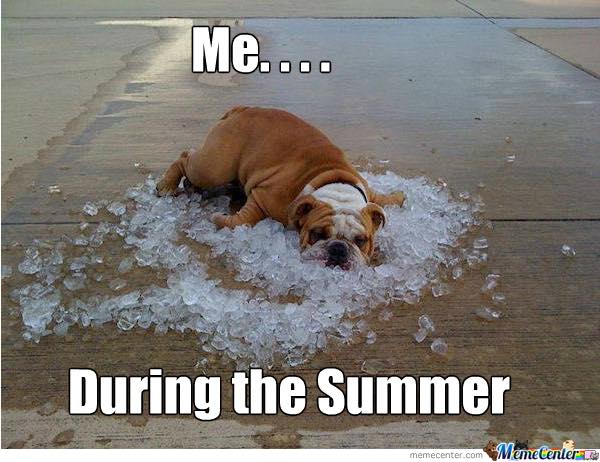 twinnersonline's tweet image. hahaha #relateble #summerfeeling #Summer2017 😂😂😂😂
