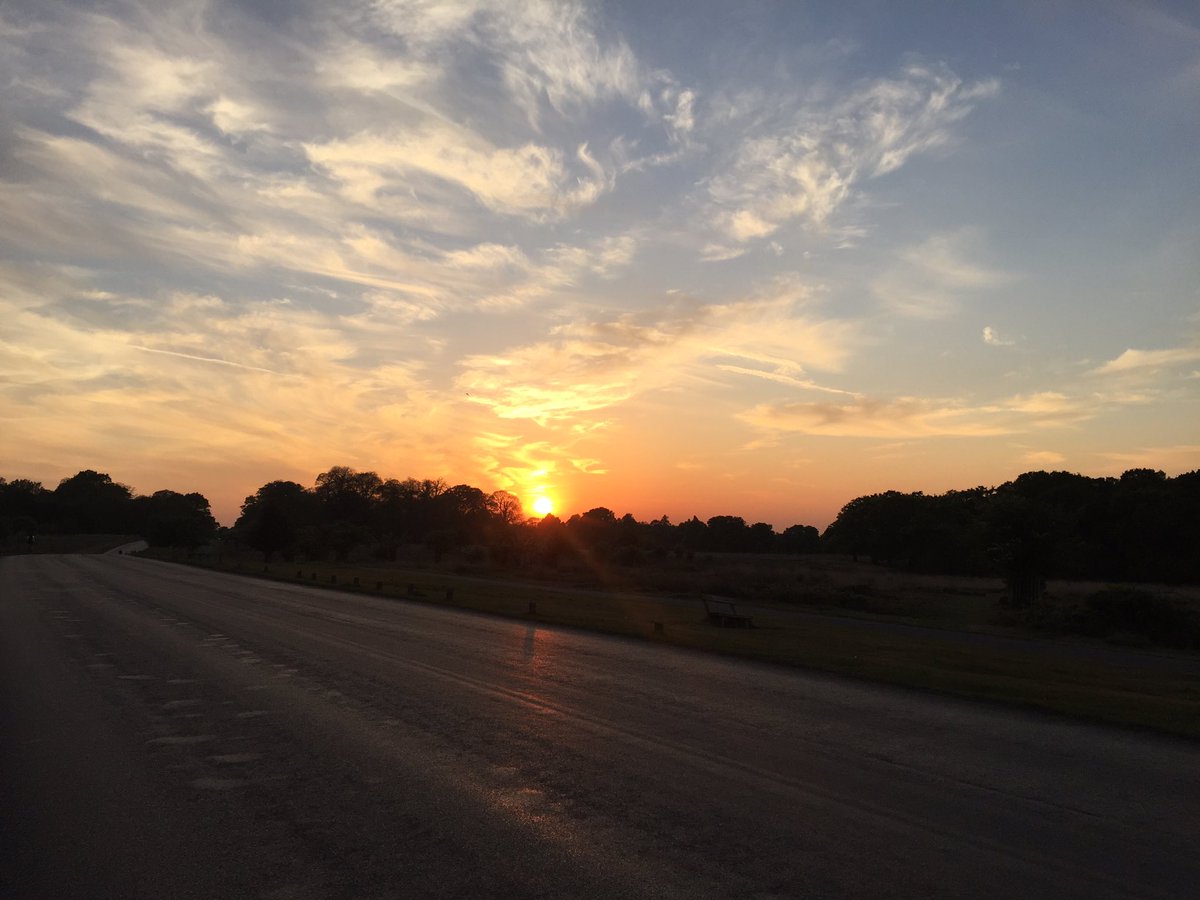 Rastle50's tweet image. Lovely end to a bit of a long day. . . Gorgeous Richmond park sunset. #taperweek #richmondpark #triathlon