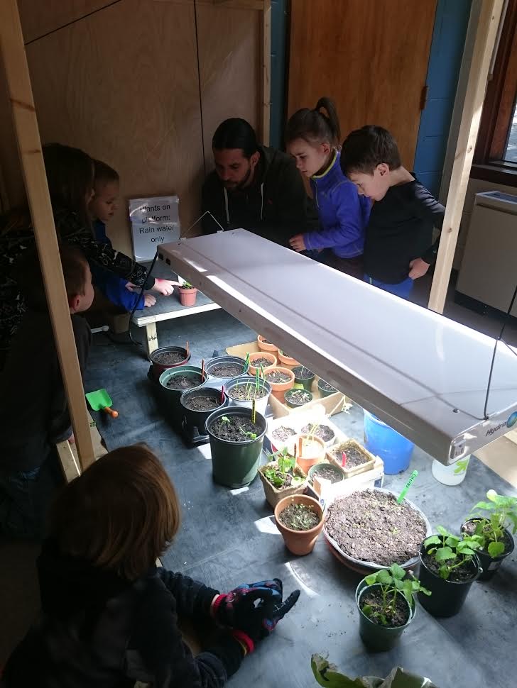 Monkey Tail Gang's grow box experiment is making great progress so far! Happy Spring!