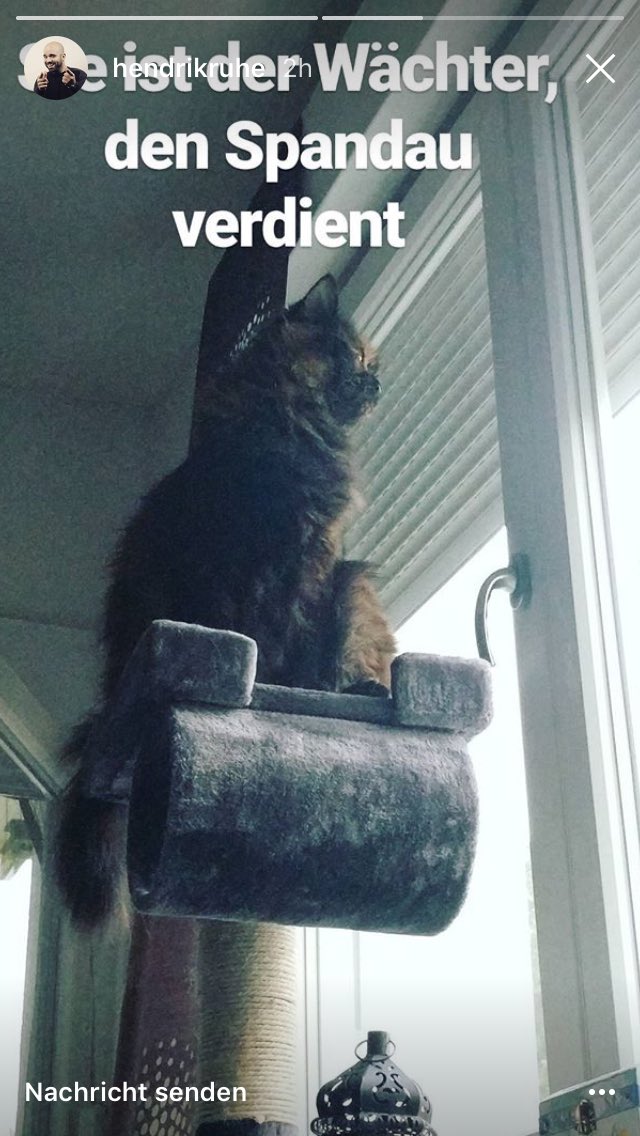 Sehr geehrter Hr. <a href="/Hendrik_Ruhe/">Hendrik Ruhe</a>, falls ihre Katze noch eine Beschäftigung sucht, können Sie sich gerne bei uns melden!