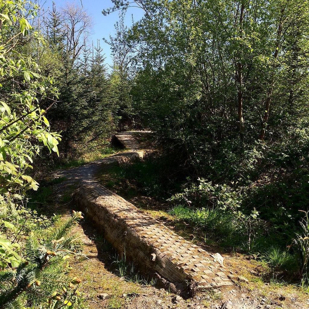 LinesMag's tweet photo. #Skinnies mit Übergewicht in @blessingbourne. #Trailcenter #Blessingbourne #northernireland #Issue10 https://t.co/xh9bHO1d5i https://t.co/uQRX5G0fJT