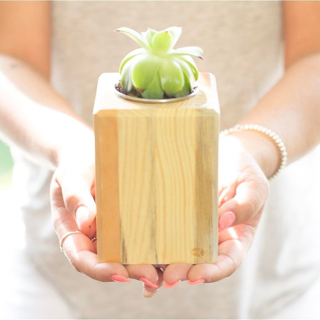 Killwood_Inc's tweet photo. The perfect gift for the organized eco-MOM! 💚

Link in bio ☝️ https://t.co/82D3v4Cmbo https://t.co/Y9ibWS8onU