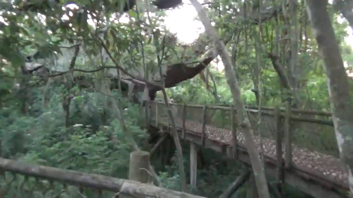 discovery island discovery island
