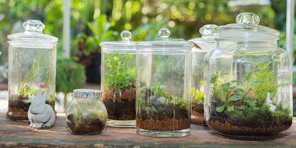 SummersCornerSC's tweet photo. Terrarium tips from Rebecca Turk, @MooreFarmsBG : https://t.co/W7enMOXPfp #gardening #summerscorner #terrarium https://t.co/PePFfluN8V
