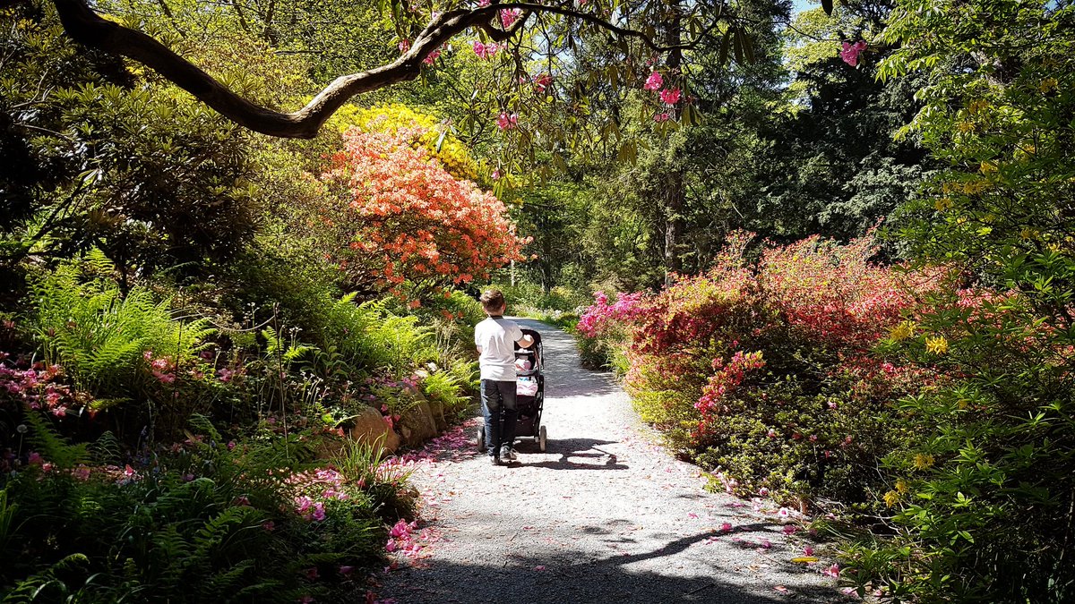 AllyOwen's tweet photo. Such a stunning place is @BodnantGardenNT π @NTWales @nationaltrust #NTmembers #happyplace #peaceful #nationaltrust ππ³π΅πΈπΌπ¦πππ¦ https://t.co/9abLXfwMGb