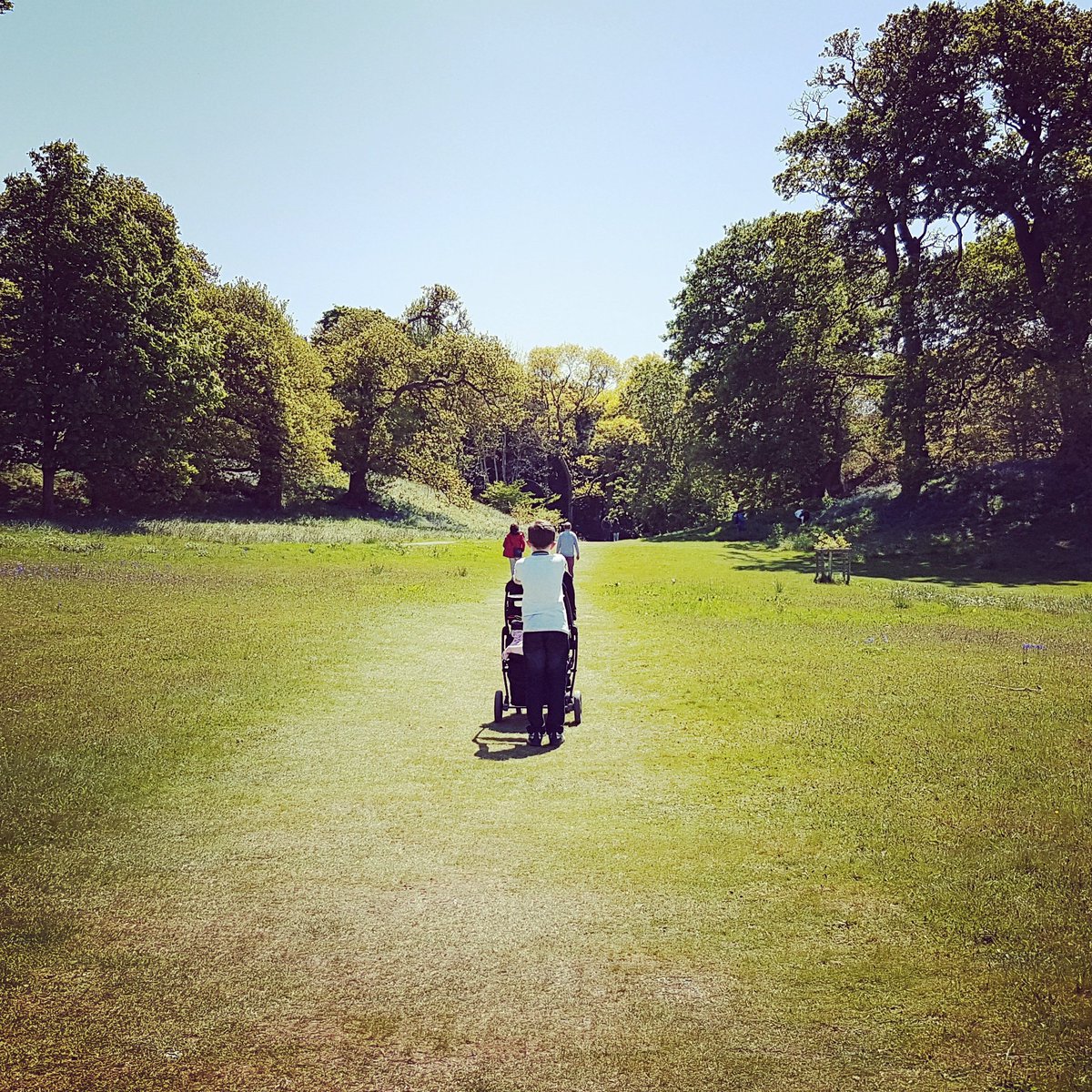 AllyOwen's tweet photo. Such a stunning place is @BodnantGardenNT π @NTWales @nationaltrust #NTmembers #happyplace #peaceful #nationaltrust ππ³π΅πΈπΌπ¦πππ¦ https://t.co/9abLXfwMGb