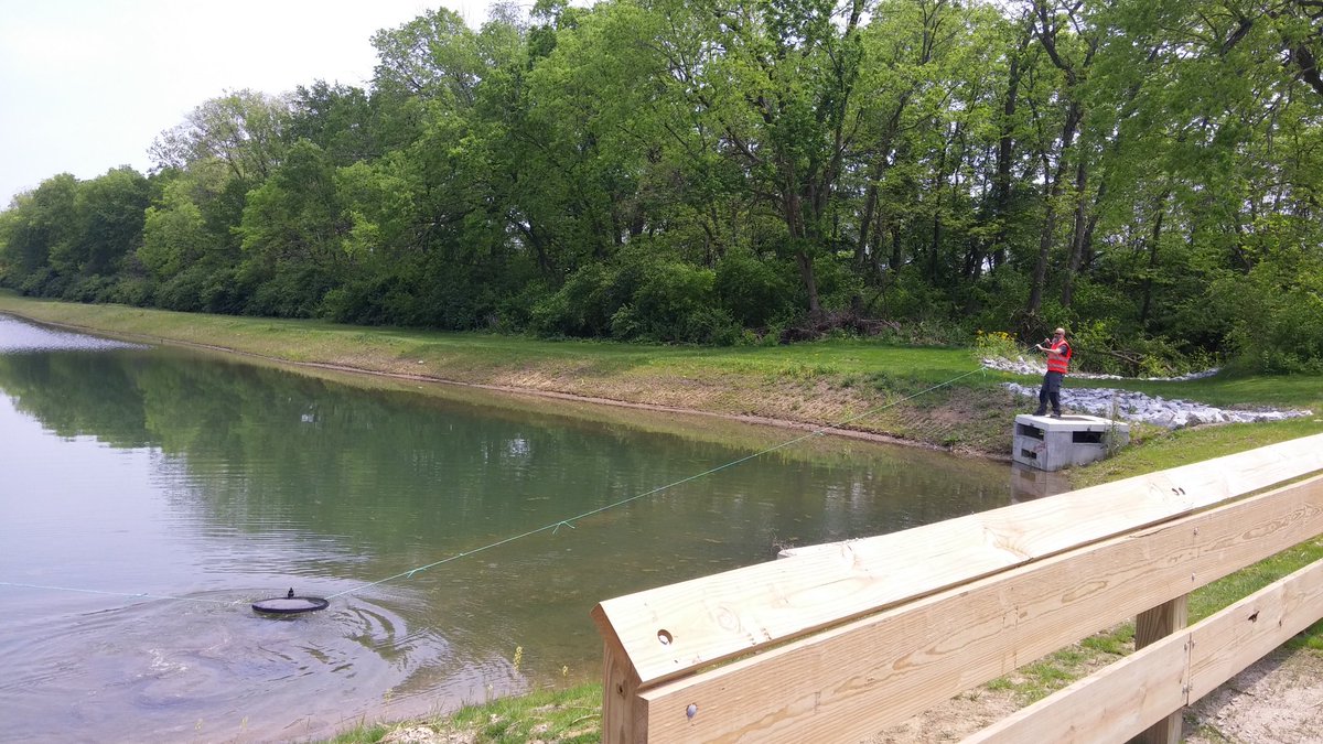 BrewDogTal's tweet photo. Brewdog USA Engineering Department moonlighting as grounds crew. #pondsareseriousbusiness #weneedmorerope https://t.co/RgrKx4lMAT