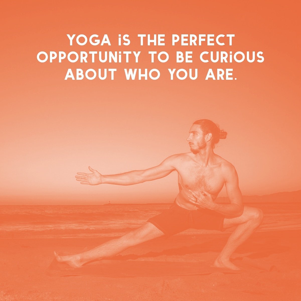 TimeToYoga's tweet image. Life is an adventure. Go explore.
#yogapractice #wednesdaywisdom