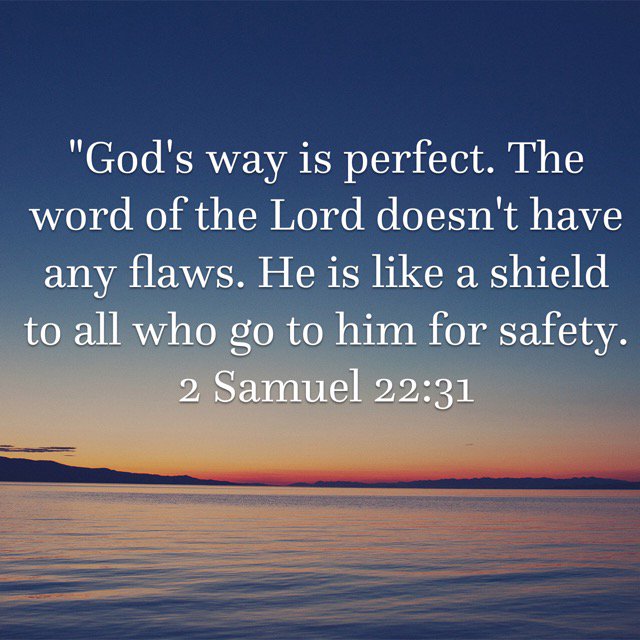 CoachM_Hancock's tweet image. #HeisaShield
 bible.com/110/2sa.22.31.…
