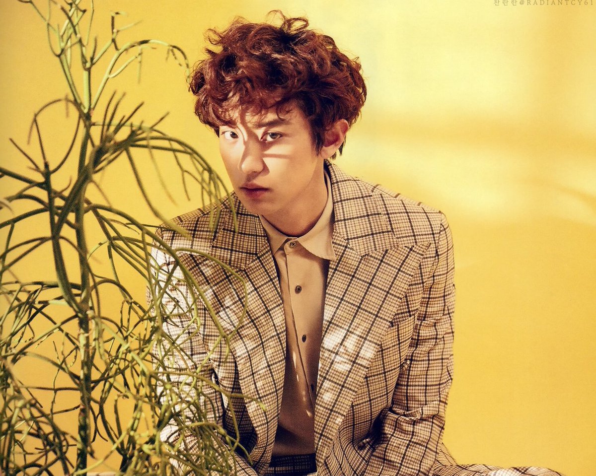exo aesthetic tweet media