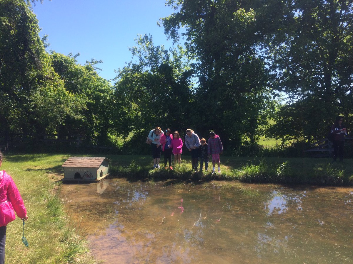 Ms. Cady's Class tweet media