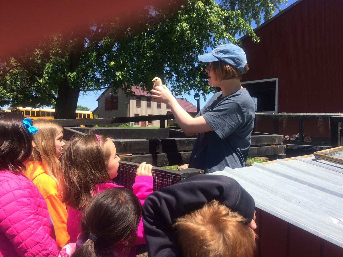 Ms. Cady's Class tweet media