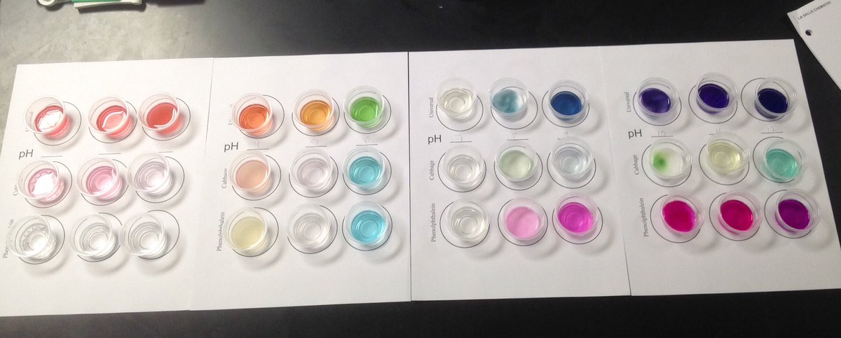 ScienceRoom229's tweet photo. @SpanglerScience Cabbage juice indicator is the middle row. Universal on the top Phenolphthalein on bottom. Household acids and base. https://t.co/KbpbSu40uK