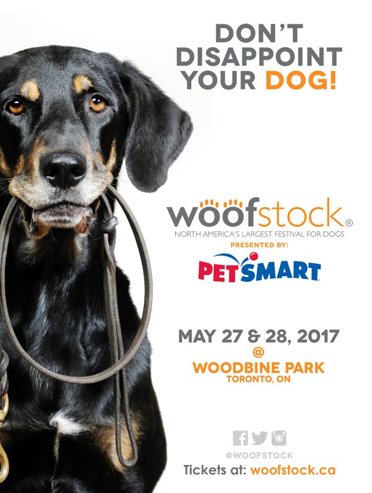 bickmitchum's tweet photo. lifting my leg for this! @woofstock https://t.co/tvj8OTX1lw