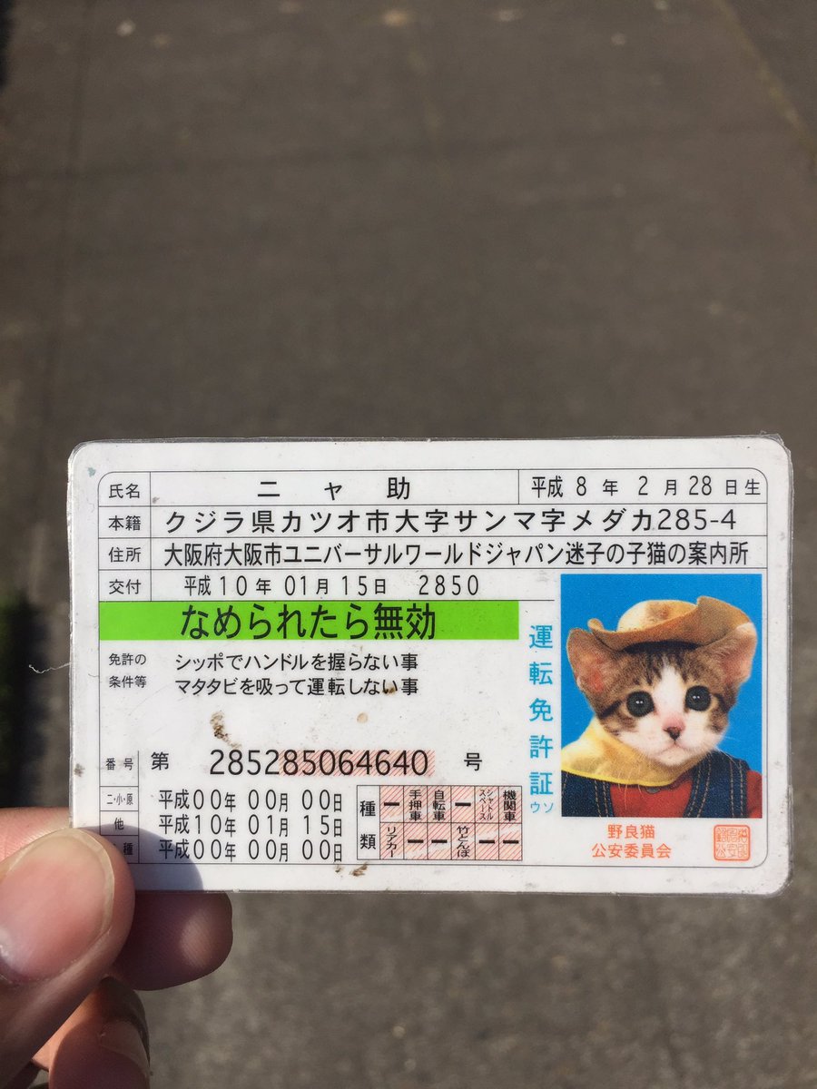 if you are a japanese cat and you lost your driver's license near SE 34th ave. in portland please let me know