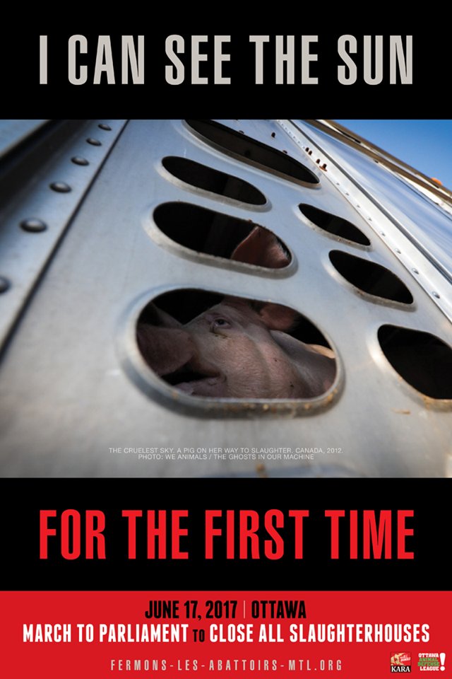 karakebek's tweet photo. March to close all slaughterhouse. // Marche pour la fermeture des abattoirs. #StopAbattoir #AnimalLiberation #CloseAllSlaughterhouse https://t.co/wgIDfGogOk