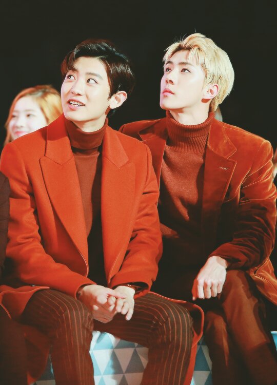 exo aesthetic tweet media