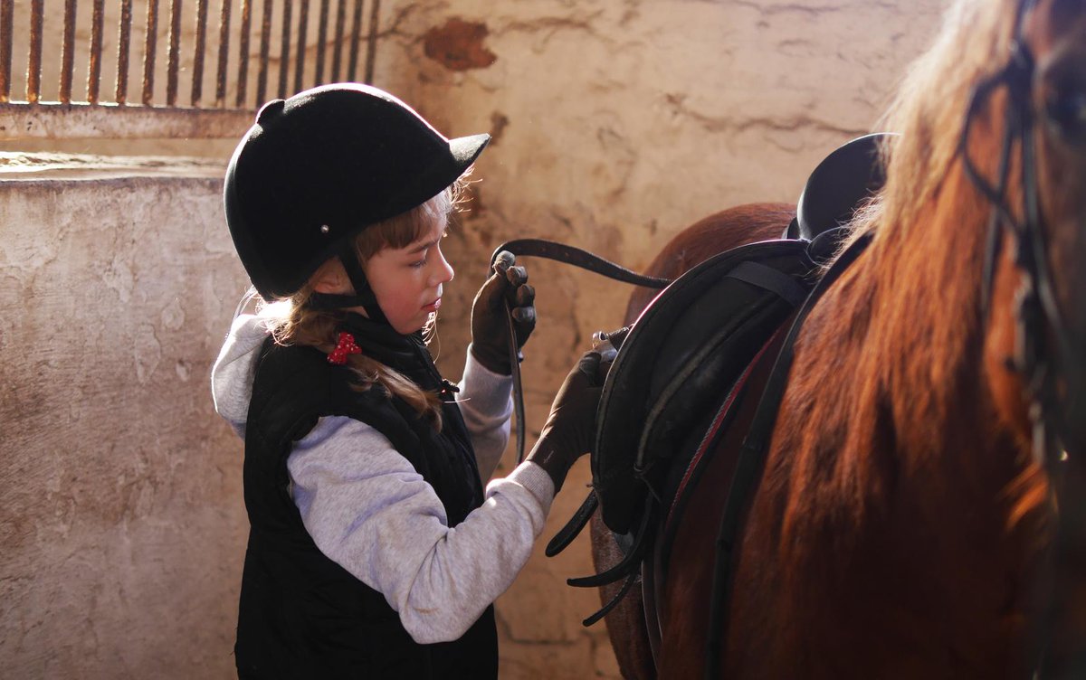 CrossroadsAZ's tweet photo. "Horses change lives. They give our young people confidence and self-esteem. They provide peace and tranquility to t https://t.co/lTAw0qWisP