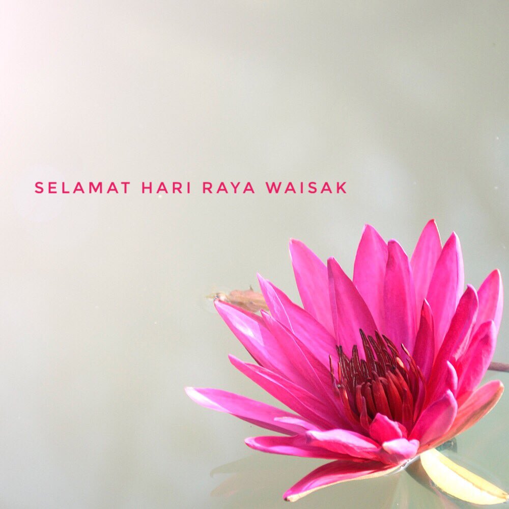 bumiherbal's tweet photo. Selamat Hari Raya Trisuci Waisak untuk umat Buddha.

Semoga semua makhluk berbahagia.

#waisak2017 #HariRayaWaisak https://t.co/Xz1RwmfyDN