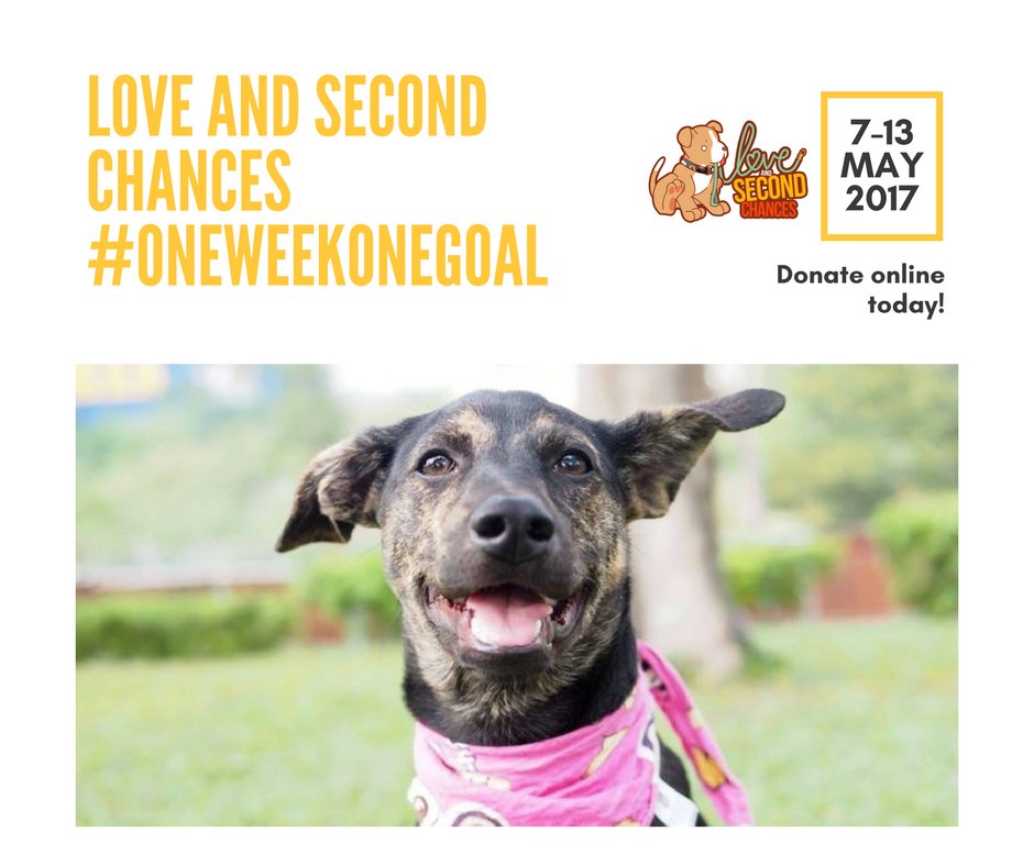 Love&SecondChances tweet media