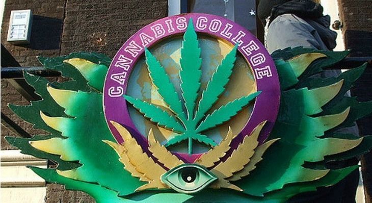 CanXnet's tweet photo. Cleveland’s Cannabis College Is Here to Train Ohio’s Next Medical Marijuana Professionals - MERRY JANE https://t.co/wYq1XflAxv https://t.co/KWrSDIbdgt