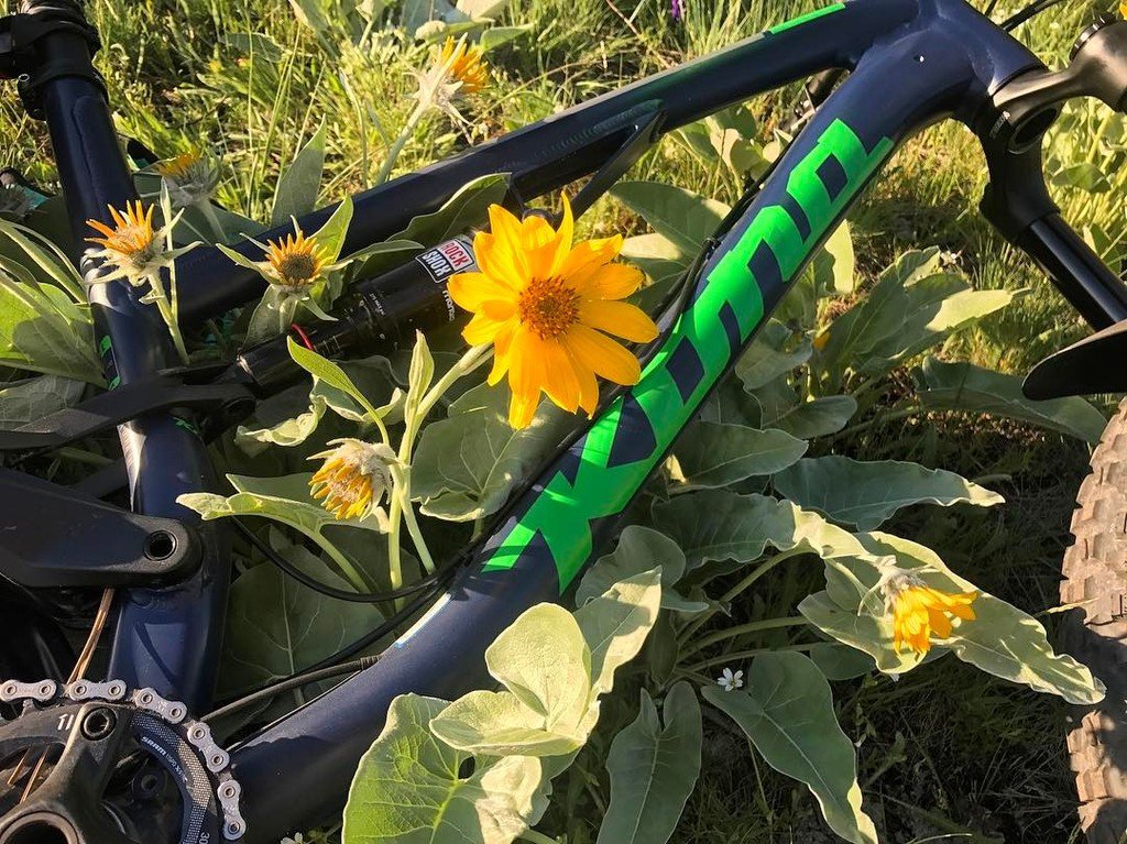 missoulabicycle's tweet photo. #KonaDays is this weekend. The lupine is ready, are you? #konaprocess153 #konabikes #rideyabike https://t.co/dqlFawThHH https://t.co/M4jR4hUaC7