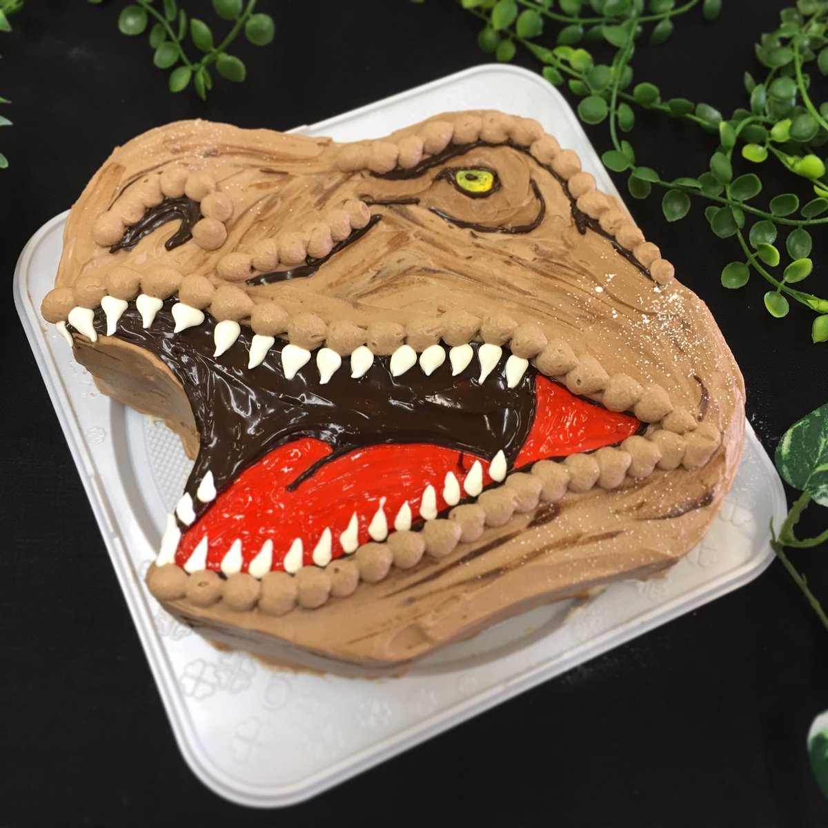 足 業界 生まれ 恐竜 立体 ケーキ 通販 Aimu Academy Jp