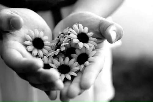 말을 잘하는 좋은 입을
가지지 말고

남의 말을 잘들어주는
어진귀를 가지세요

타인의 단점을 잘발견하는
예리한 눈을 가지지말고

남의 허물을 잘덥어주는
따뜻한 마음을 가지세요

영리하고 비상한
차가운 머리를 가지지말고

남을 도와주는 고은 손을가지세요