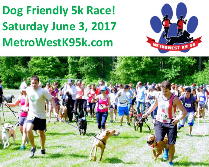 Registration is now open for the Metrowest #K9 #5K. Register online here: metrowestk95k.com #dogs #runchat