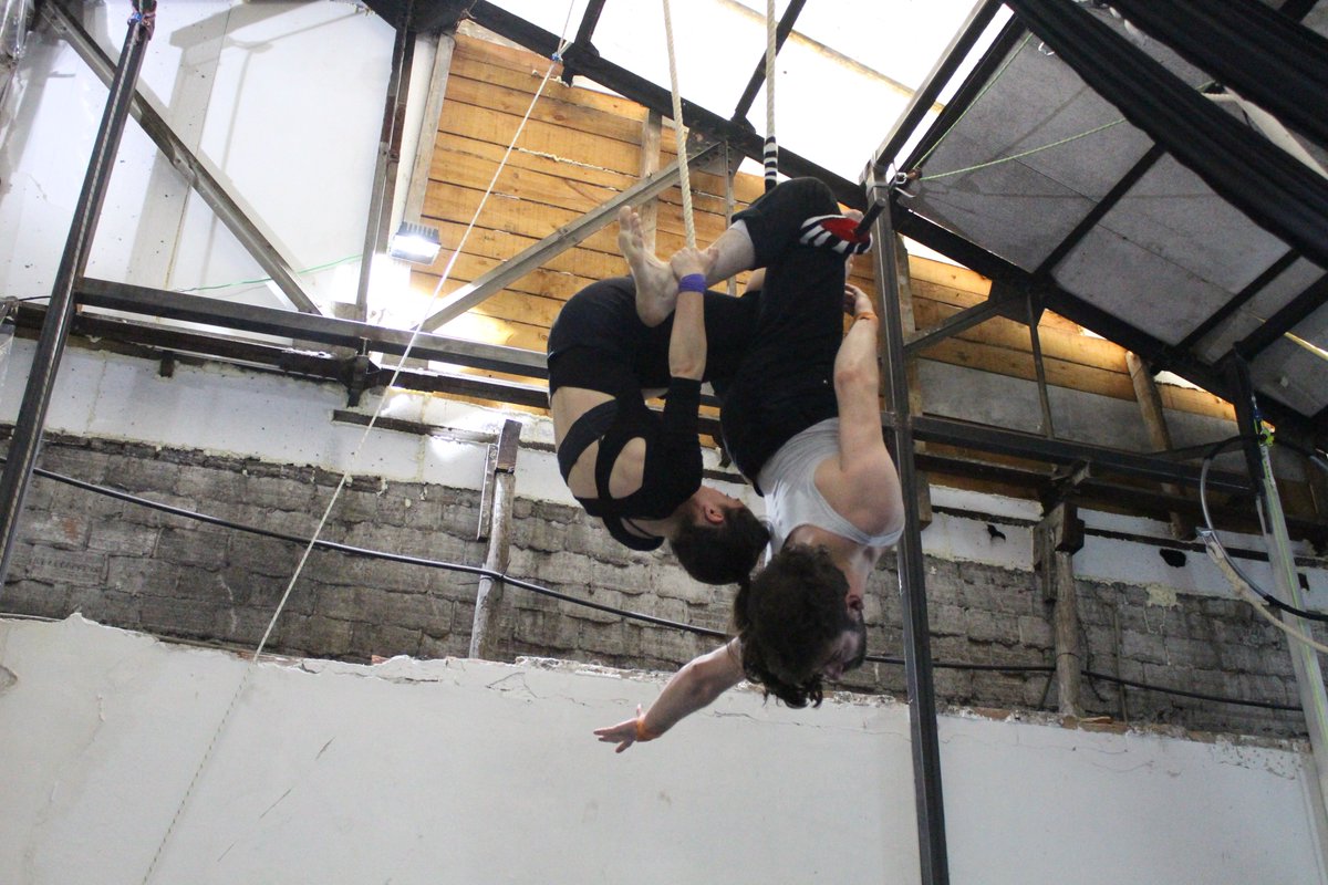 ZIRKOZAURRE TE ESPERA