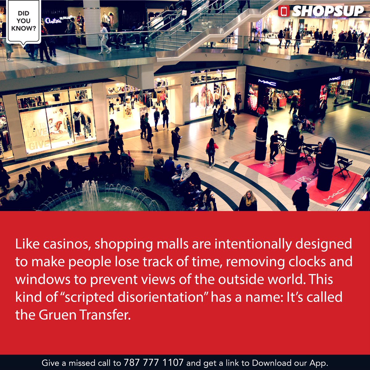 shopsupapp's tweet photo. Give us a shoutout if you have experienced Gruen Transfer! #DidYouKnow #ShoppingFacts https://t.co/n1Q8mbj0rS