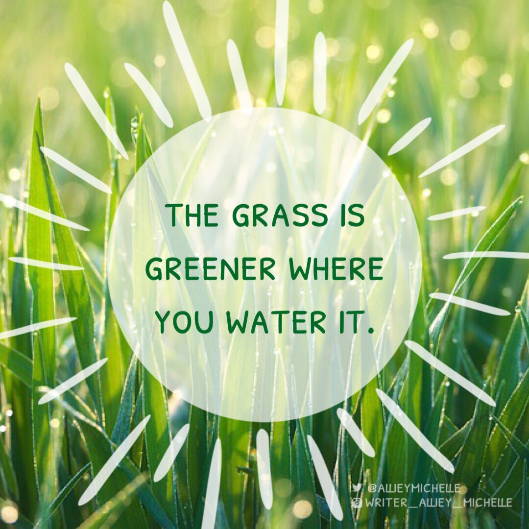 AllieyMichelle's tweet photo. 🌱+🚿= 🌼
#WednesdayWisdom #WordsOfWisdom #WordsToLiveBy #BeCreative #ProgressNotPerferction #DreamBig #AimHigh #WorkHard https://t.co/rbBNN2bmyE