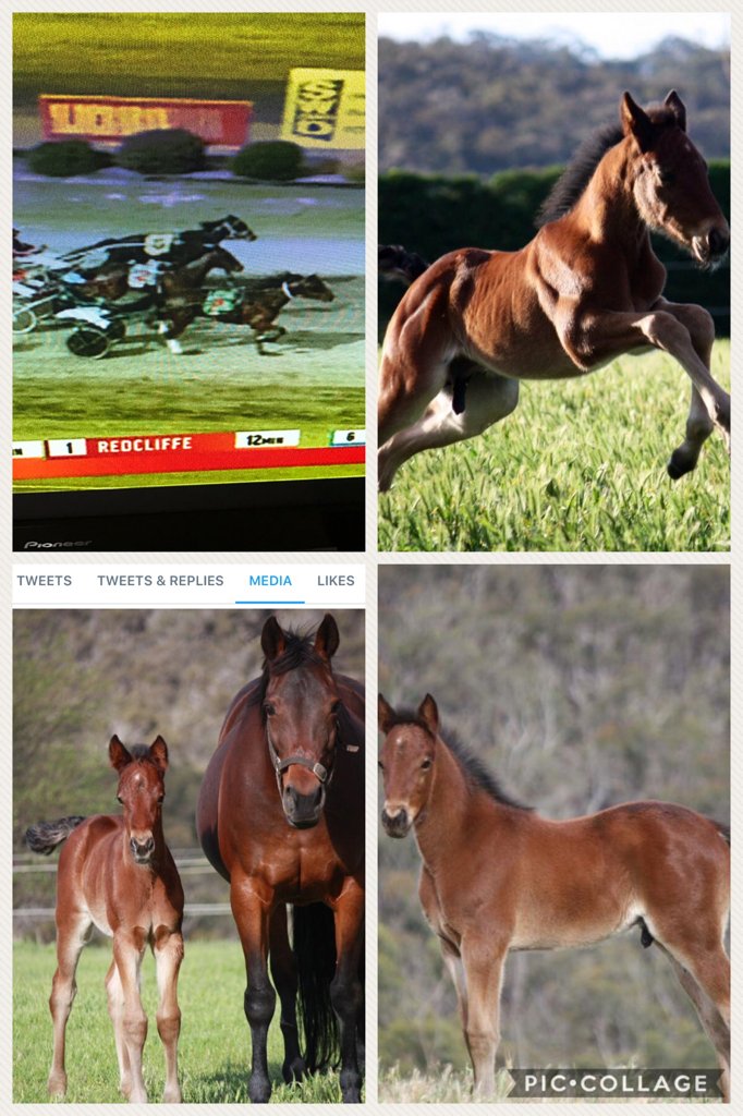 From this too this in 2 years. Special thanks to @joshduggen and <a href="/ellen/">Ellen</a> Tormey and  piccollage.com/_dYmYfQs9